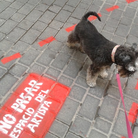 Kim Griffiths English 2017-04-25 13.55.38