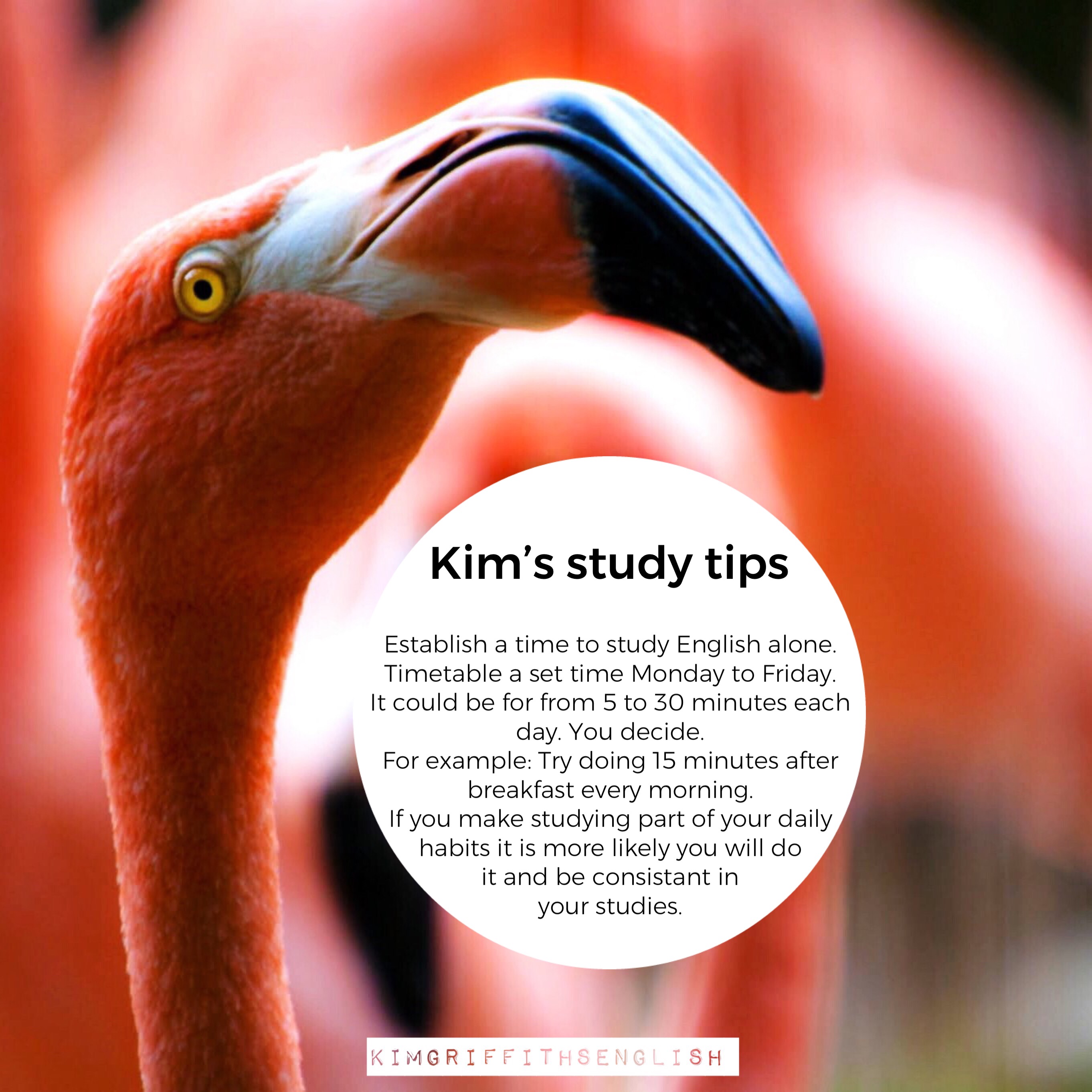 5 Smart strategies for English class – Kim Griffiths English