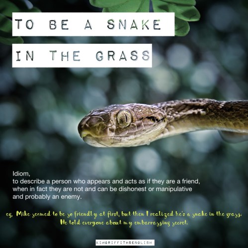 A snake in the grass idiom. How to describe a bad person, bad character Adjectives, idiom and more. from the English as a second language teaching blog - @kimgriffithsenglish